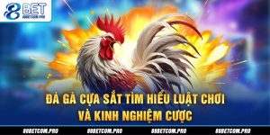 Đá gà cựa sắt
