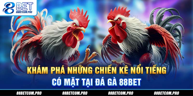Khám phá những chiến kê nổi tiếng có mặt tại đá gà 88Bet