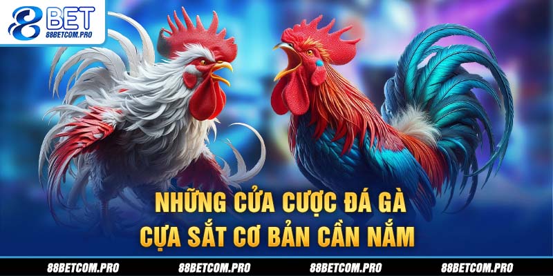 Những cửa cược đá gà cựa sắt cơ bản cần nắm