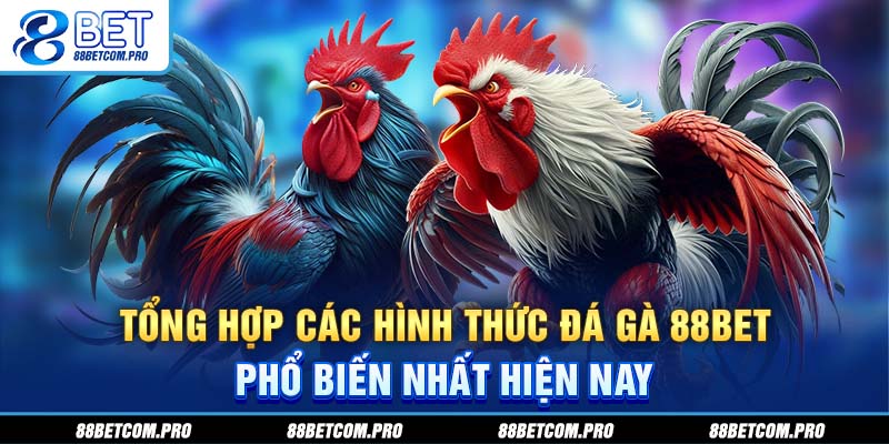 Tổng hợp các hình thức đá gà 88Bet phổ biến nhất hiện nay