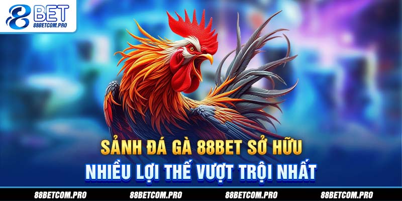 Sảnh đá gà 88Bet sở hữu nhiều lợi thế vượt trội nhất