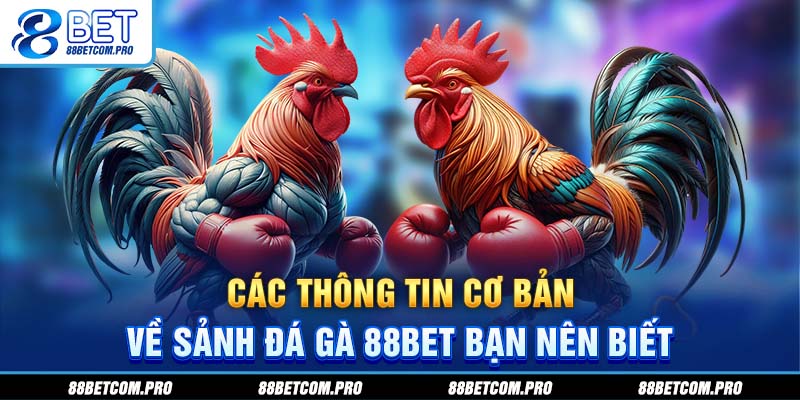 Các thông tin cơ bản về sảnh đá gà 88Bet bạn nên biết
