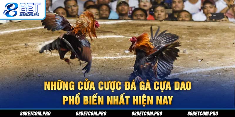 Những cửa cược đá gà cựa dao phổ biến nhất hiện nay