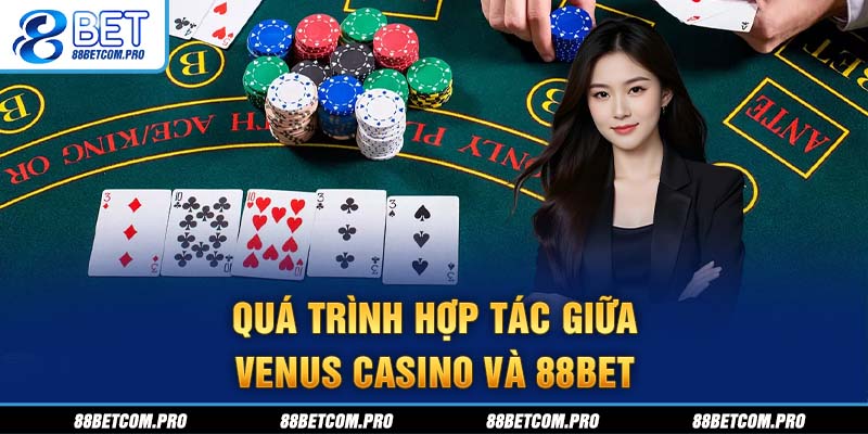 Quá trình hợp tác giữa Venus Casino và 88Bet